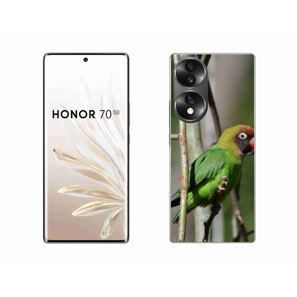 Gélový kryt mmCase na Honor 70 - papagáj agapornis