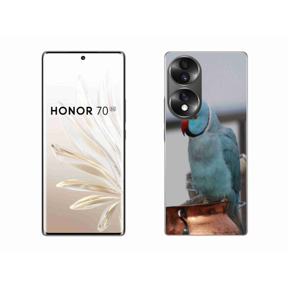 Gélový kryt mmCase na Honor 70 - papagáj alexander modrý