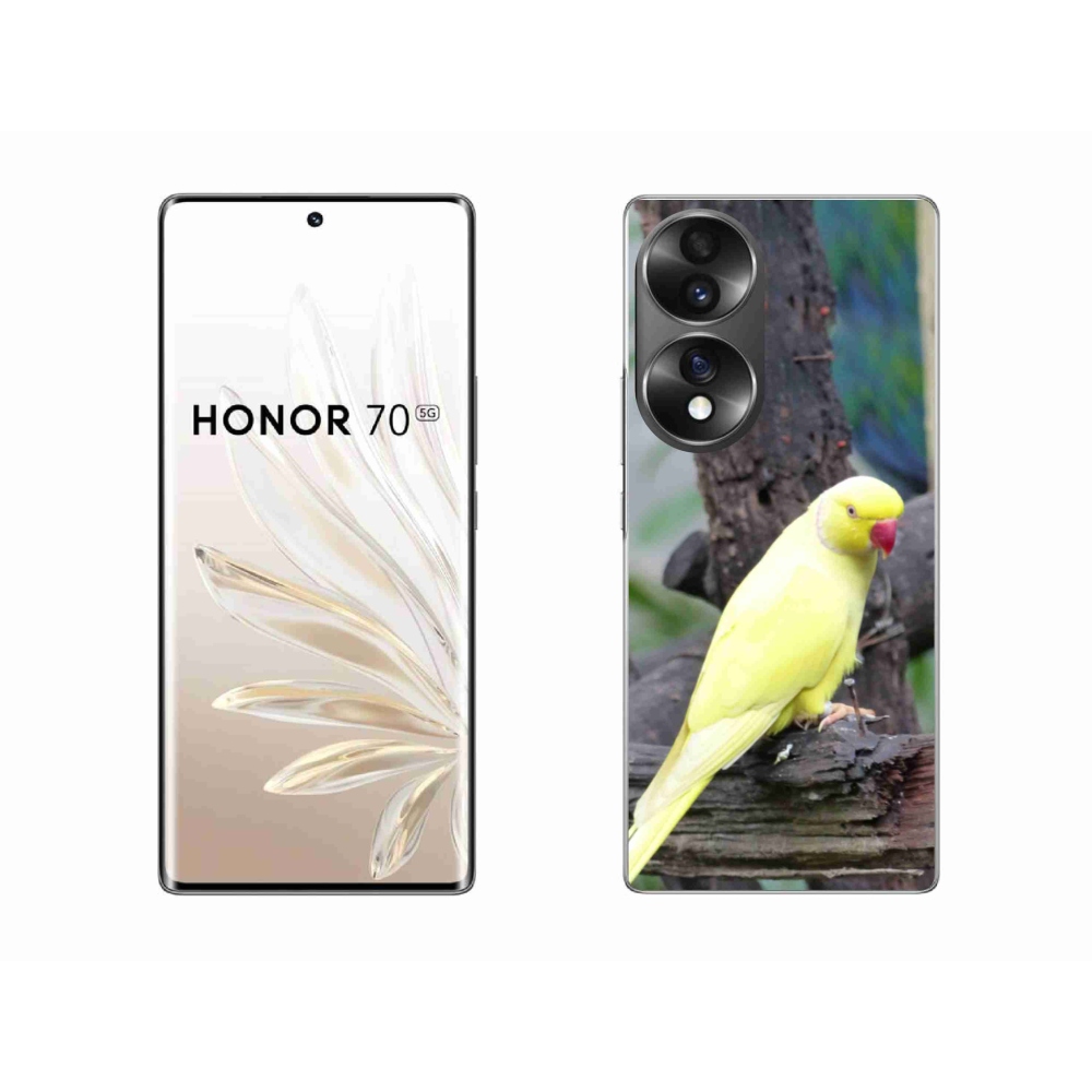 Gélový kryt mmCase na Honor 70 - papagáj alexander žltý