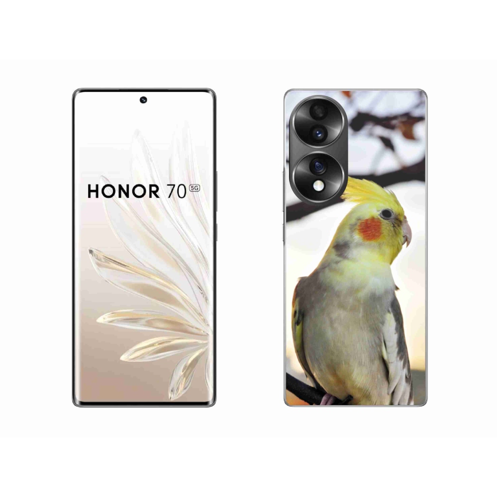 Gélový kryt mmCase na Honor 70 - papagáj korela