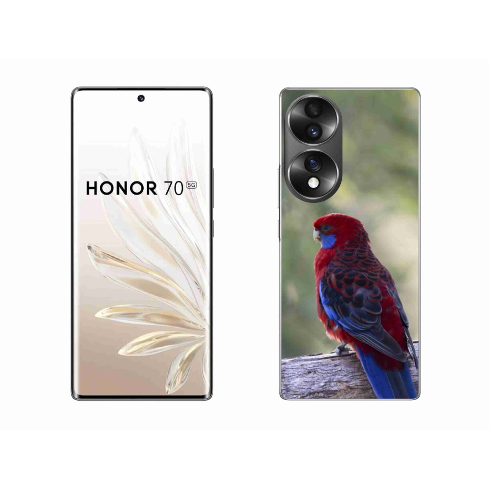 Gélový kryt mmCase na Honor 70 - papagáj rosela