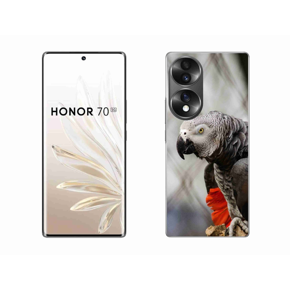 Gélový kryt mmCase na Honor 70 - papagáj žako 3