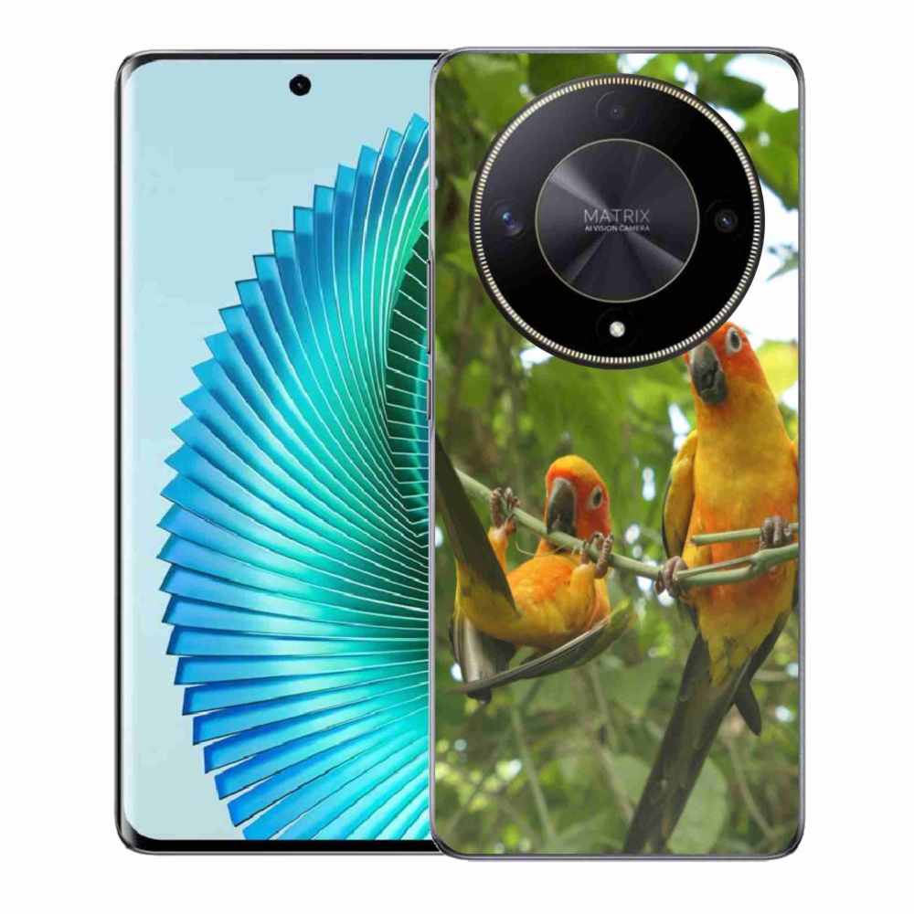 Gélový kryt mmCase na Honor Magic 6 Lite 5G - papagáje aratingy