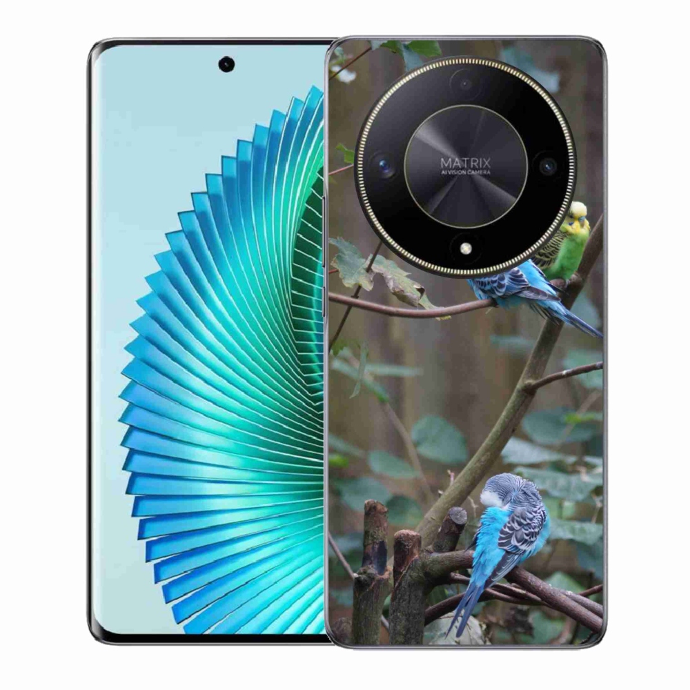 Gélový kryt mmCase na Honor Magic 6 Lite 5G - papagáje na vetve