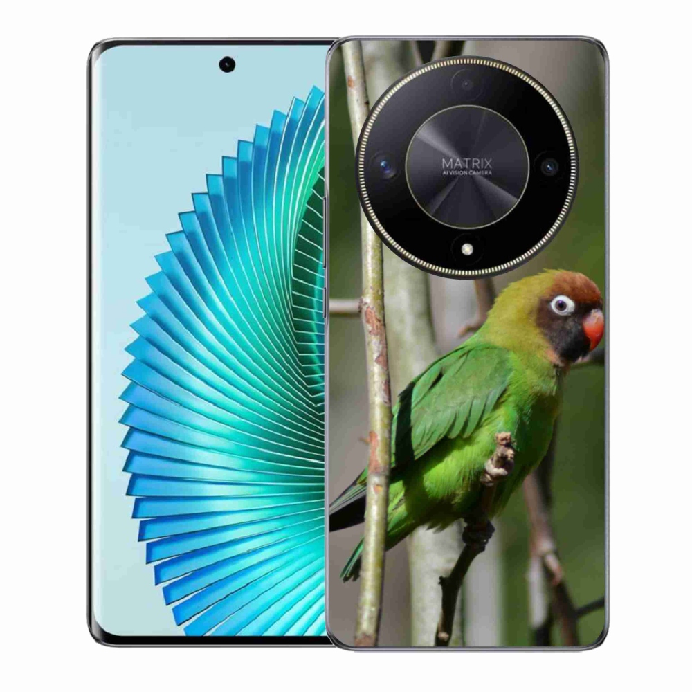 Gélový kryt mmCase na Honor Magic 6 Lite 5G - papagáj agapornis