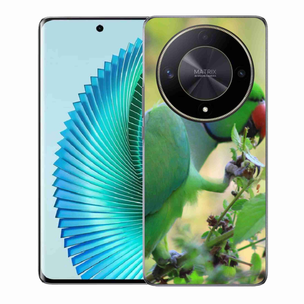 Gélový kryt mmCase na Honor Magic 6 Lite 5G - papagáj Alexandr