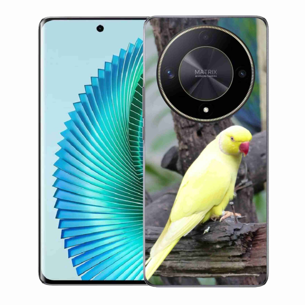 Gélový kryt mmCase na Honor Magic 6 Lite 5G - papagáj alexander žltý