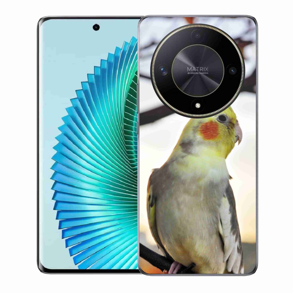 Gélový kryt mmCase na Honor Magic 6 Lite 5G - papagáj korela