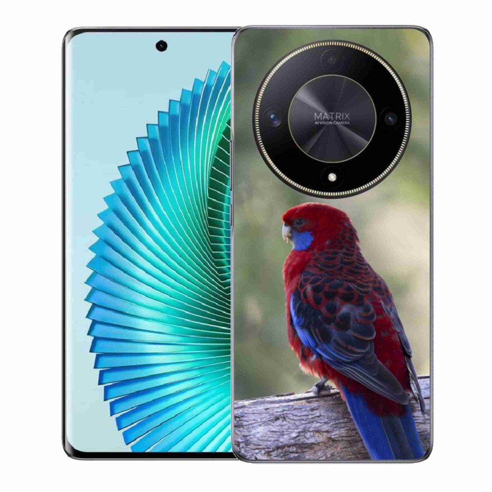 Gélový kryt mmCase na Honor Magic 6 Lite 5G - papagáj rosela