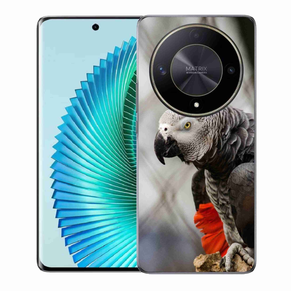 Gélový kryt mmCase na Honor Magic 6 Lite 5G - papagáj žako 3