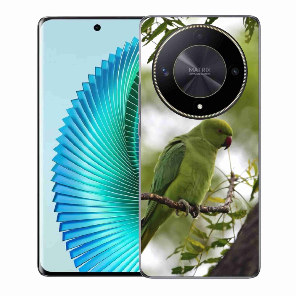 Gélový kryt mmCase na Honor Magic 6 Lite 5G - zelený papagáj