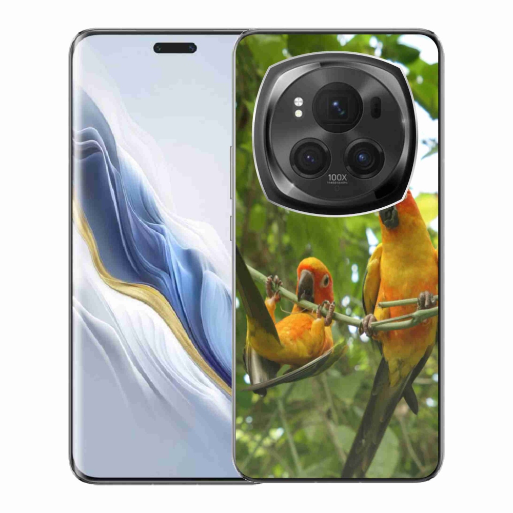 Gélový kryt mmCase na Honor Magic 6 Pro 5G - papagáje aratingy