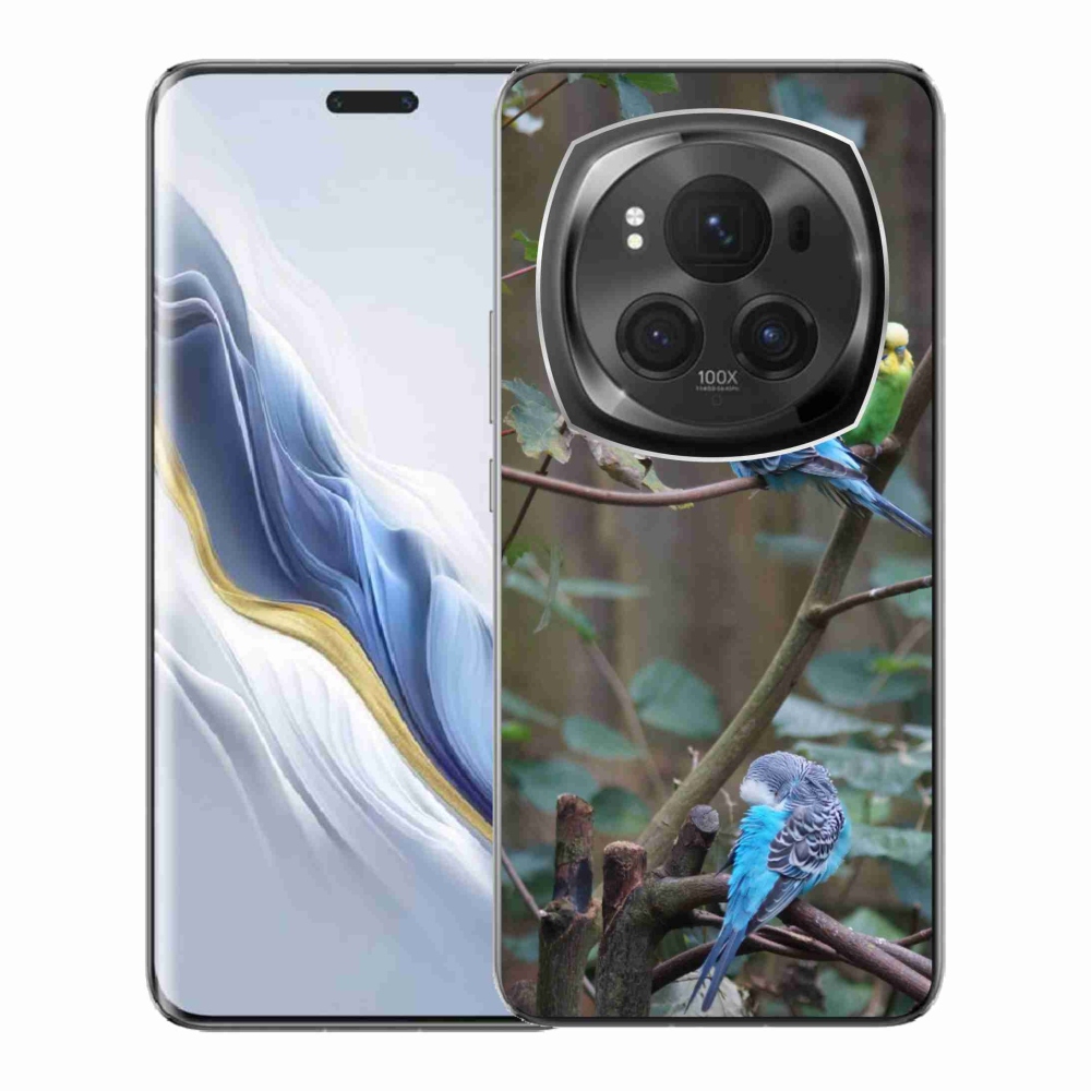 Gélový kryt mmCase na Honor Magic 6 Pro 5G - papagáje na vetve