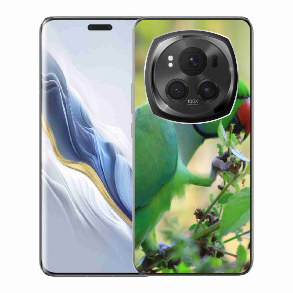 Gélový kryt mmCase na Honor Magic 6 Pro 5G - papagáj Alexandr