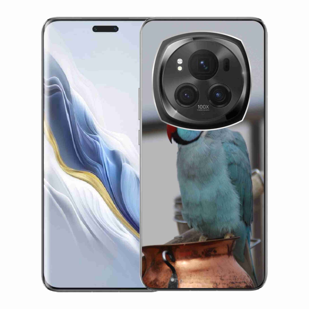 Gélový kryt mmCase na Honor Magic 6 Pro 5G - papagáj Alexandr modrý