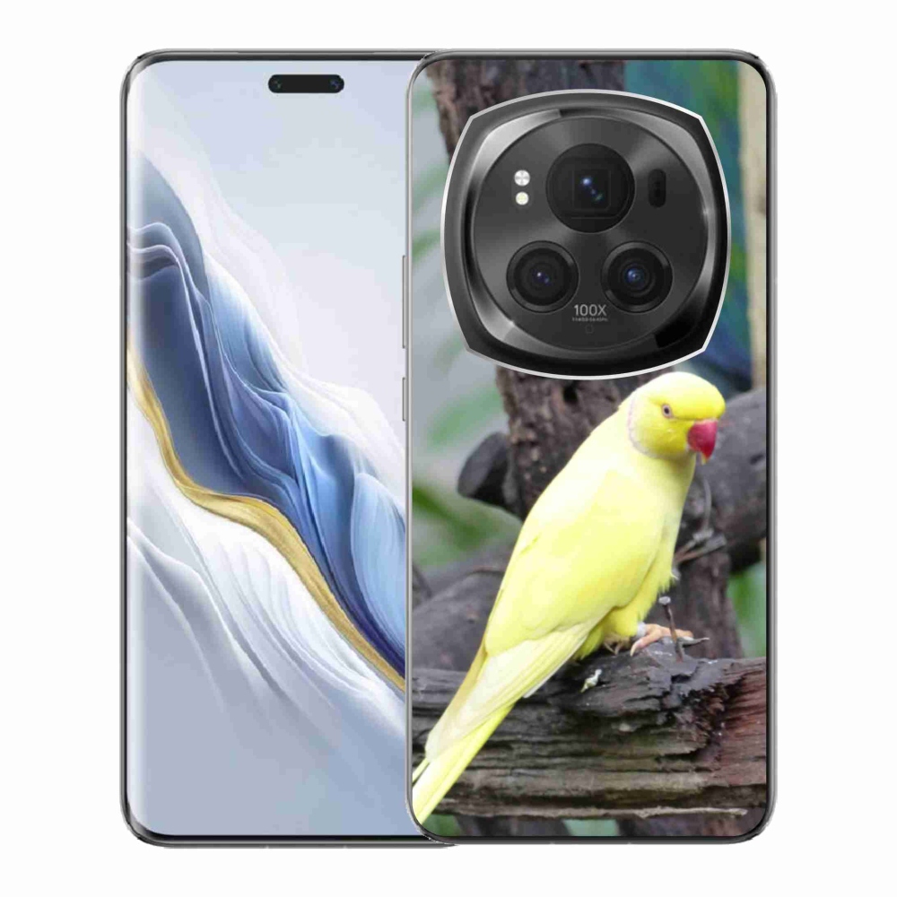Gélový kryt mmCase na Honor Magic 6 Pro 5G - papagáj alexander žltý