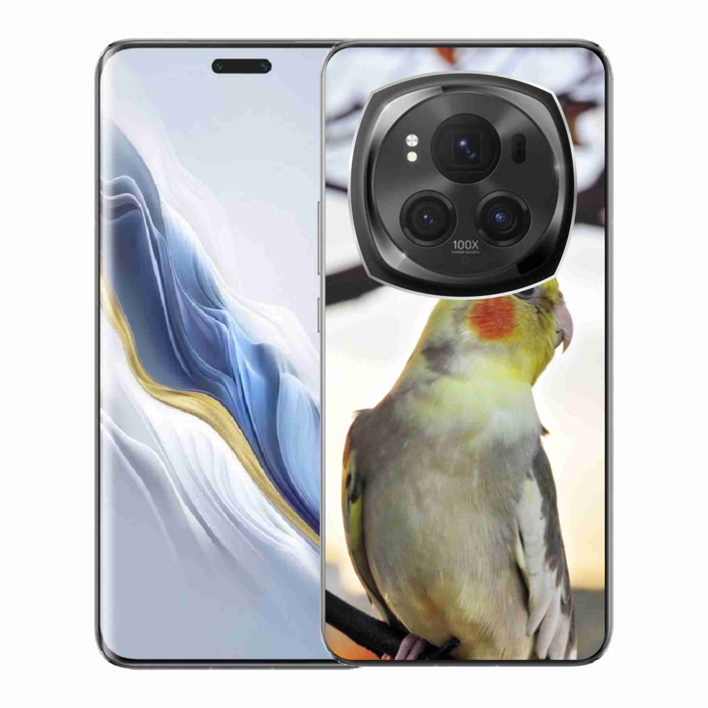 Gélový kryt mmCase na Honor Magic 6 Pro 5G - papagáj korela