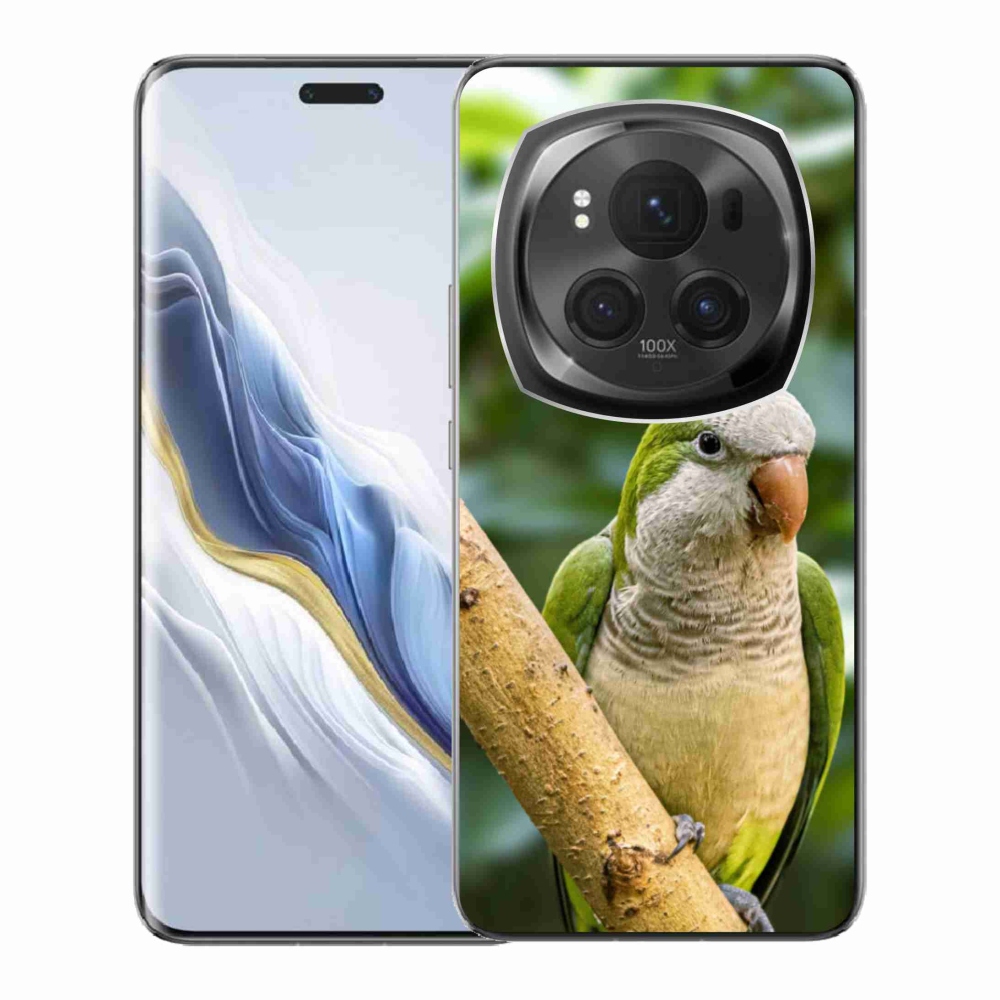 Gélový kryt mmCase na Honor Magic 6 Pro 5G - papagáj mníšok