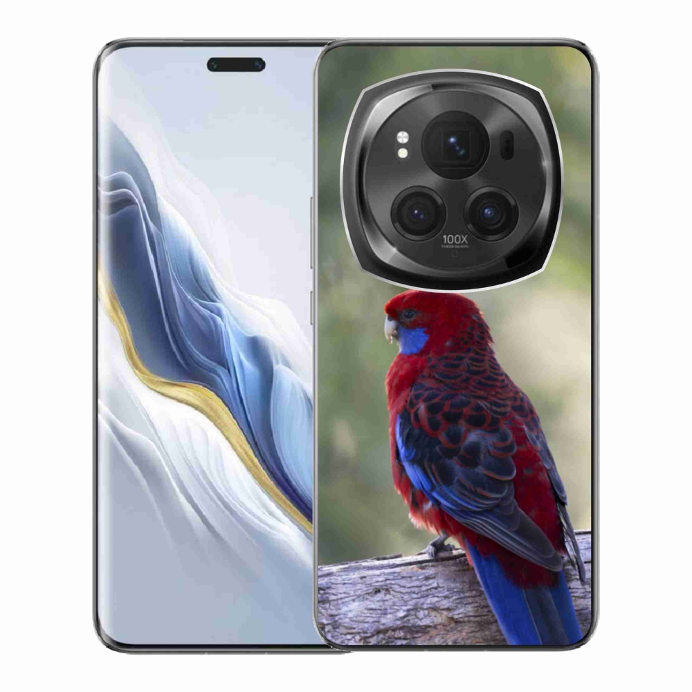 Gélový kryt mmCase na Honor Magic 6 Pro 5G - papagáj rosela