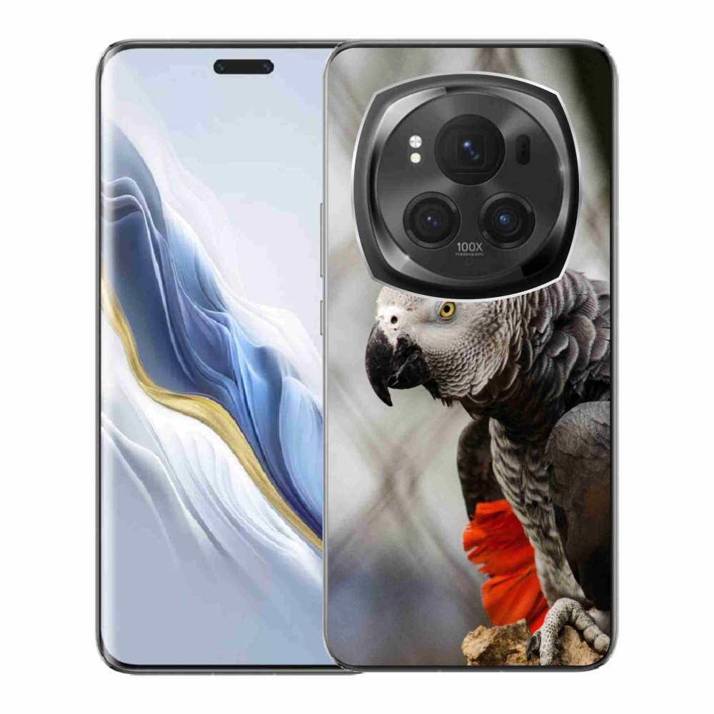 Gélový kryt mmCase na Honor Magic 6 Pro 5G - papagáj žako 3