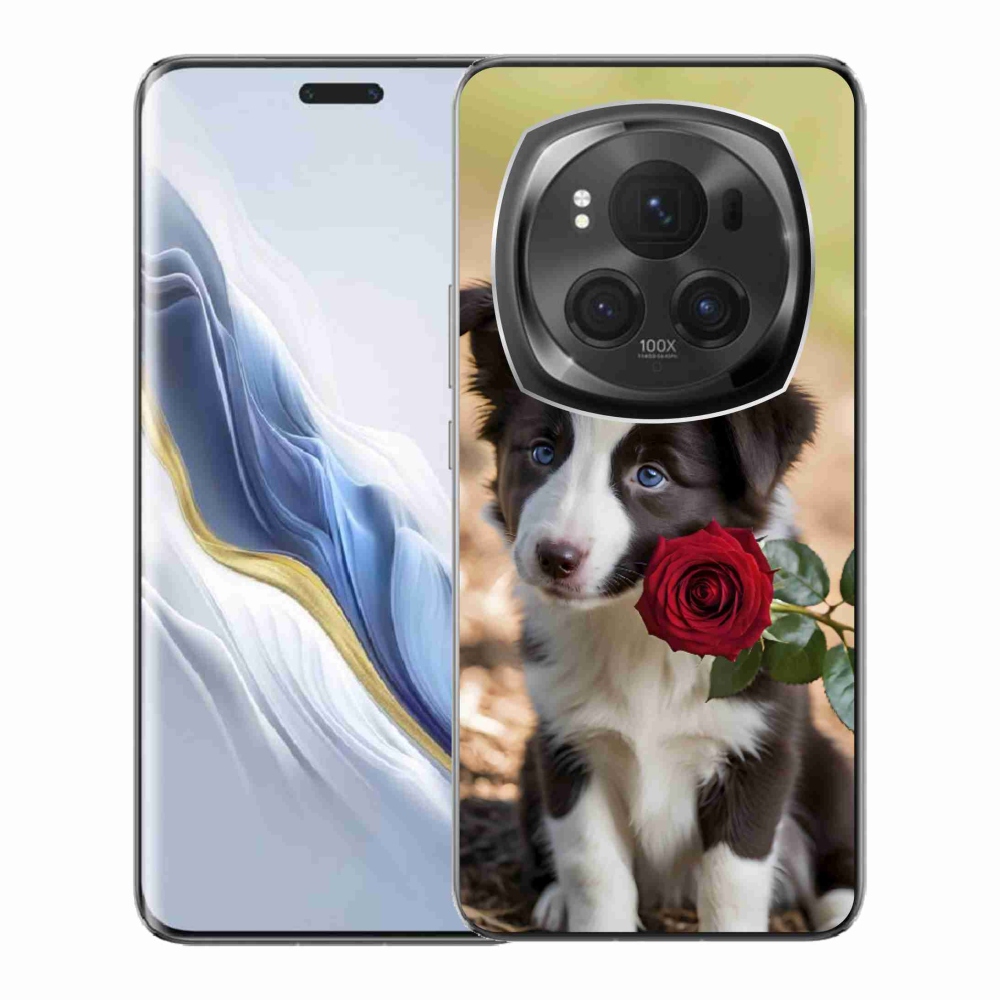 Gélový kryt mmCase na Honor Magic 6 Pro 5G - roztomilá border kólia s ružou
