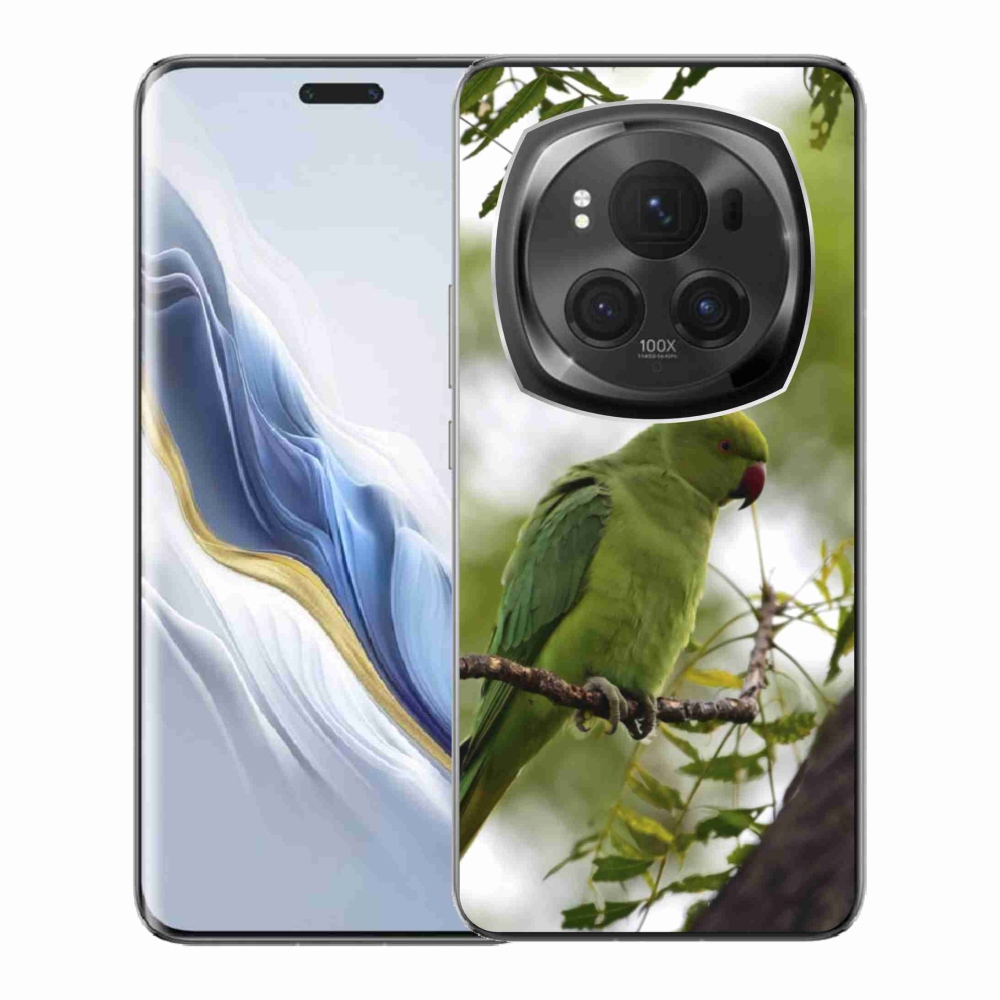 Gélový kryt mmCase na Honor Magic 6 Pro 5G - zelený papagáj