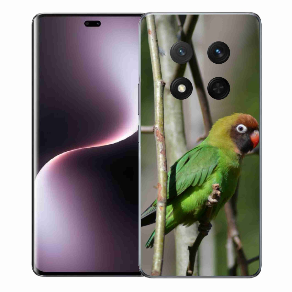 Gélový kryt mmCase na Honor Magic 7 Lite 5G - papagáj agapornis