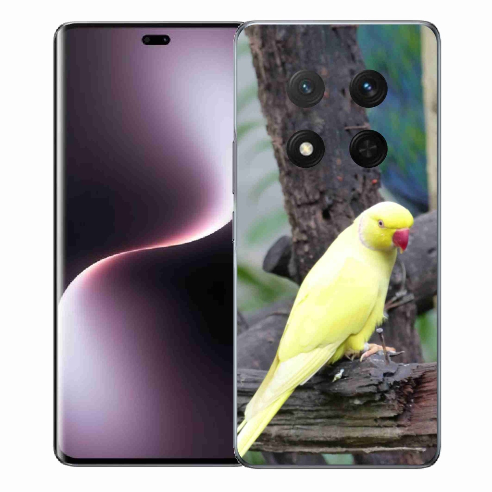 Gélový kryt mmCase na Honor Magic 7 Lite 5G - papagáj alexander žltý