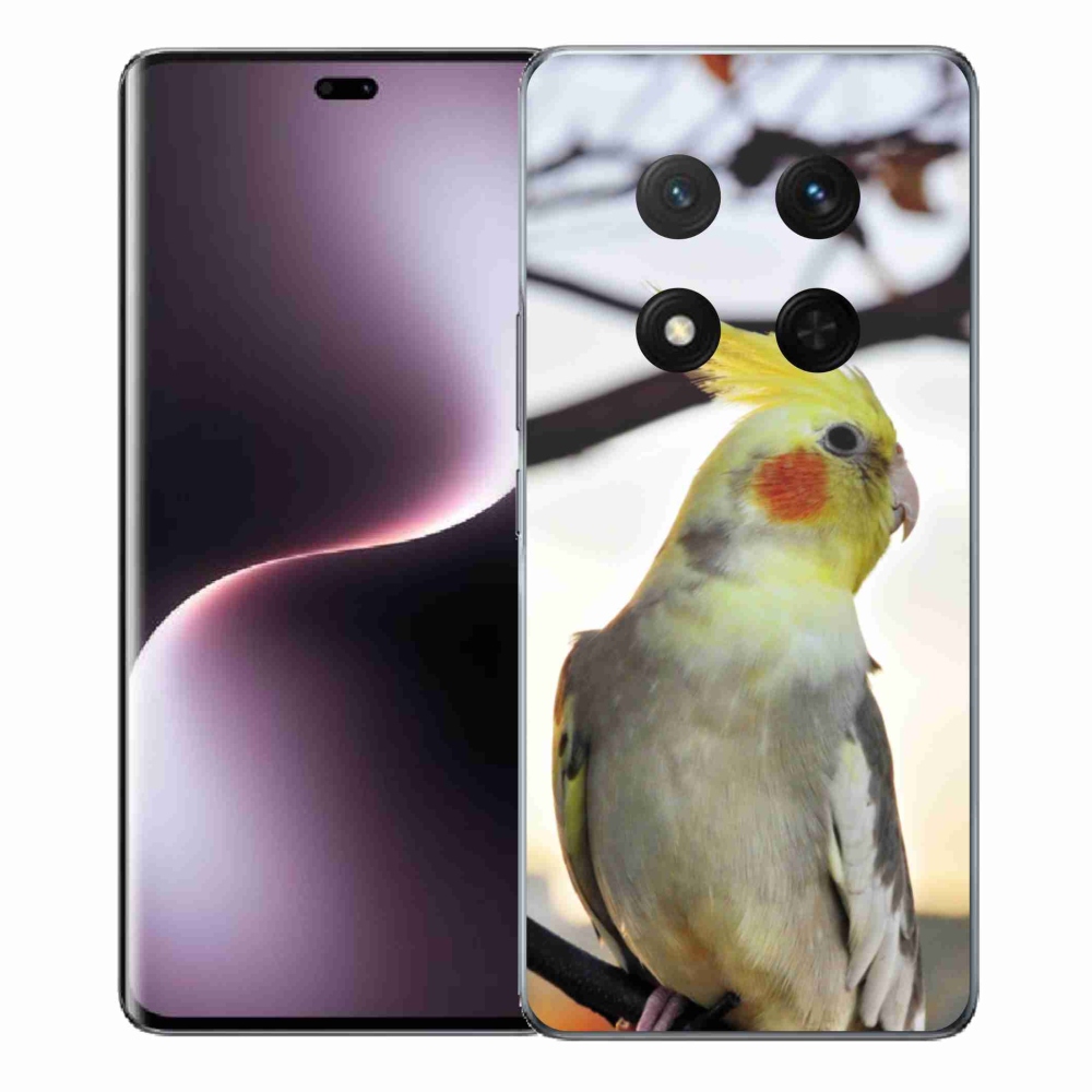 Gélový kryt mmCase na Honor Magic 7 Lite 5G - papagáj korela