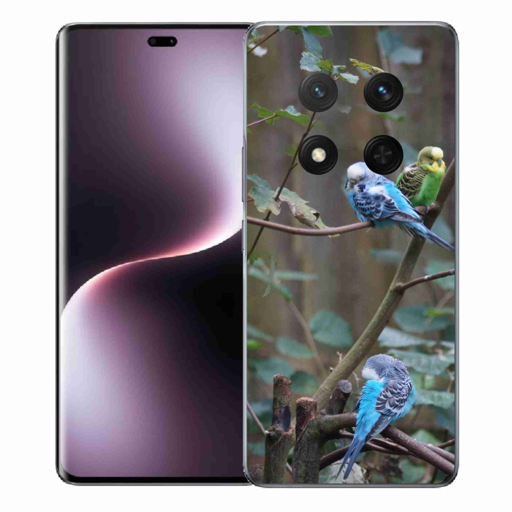 Gélový kryt mmCase na Honor Magic 7 Lite - papagáje na vetve