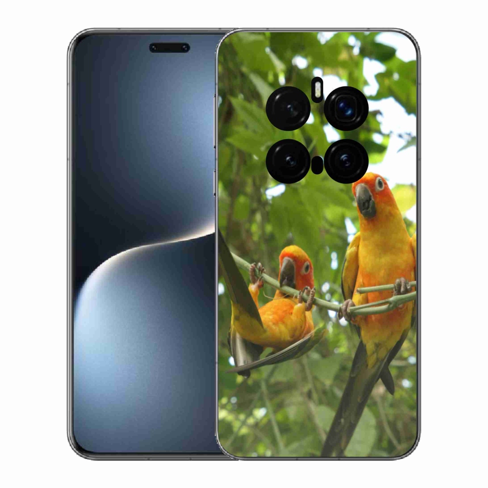 Gélový kryt mmCase na Honor Magic 7 Pro 5G - papagáje aratingy