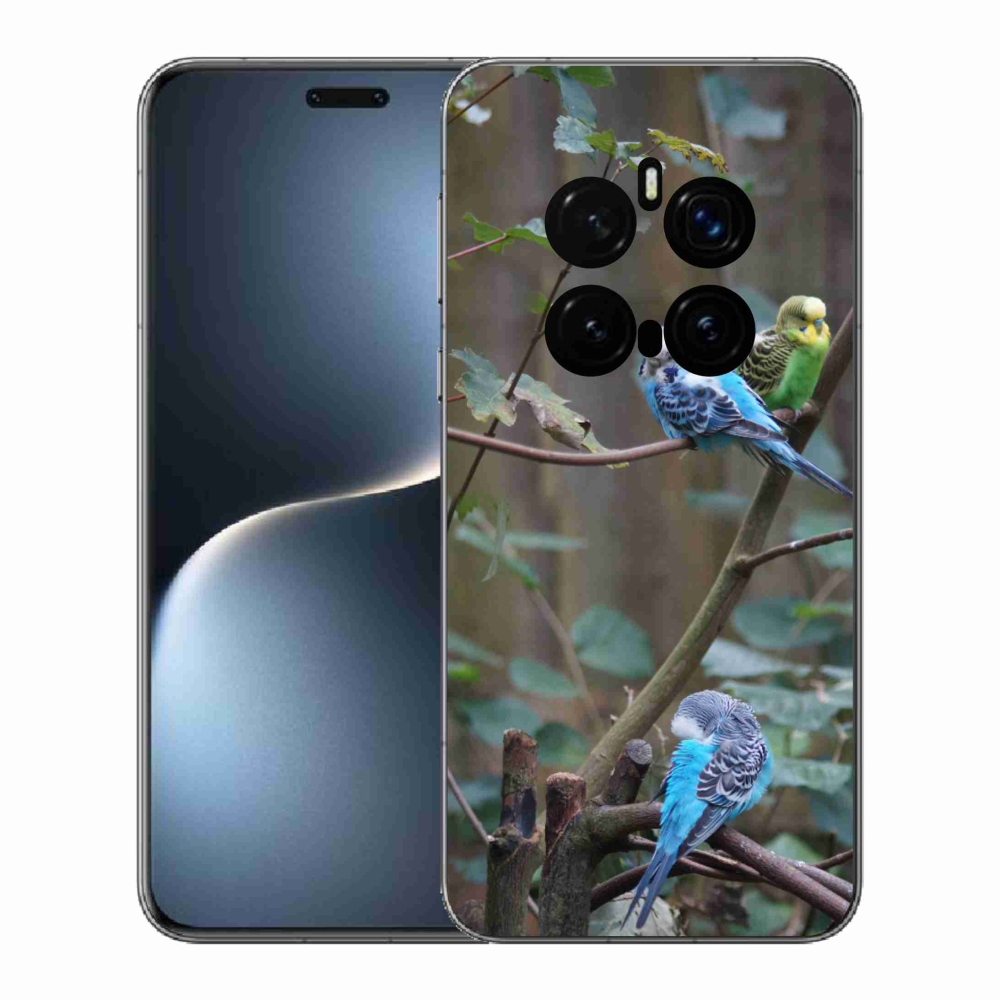Gélový kryt mmCase na Honor Magic 7 Pro 5G - papagáje na vetve
