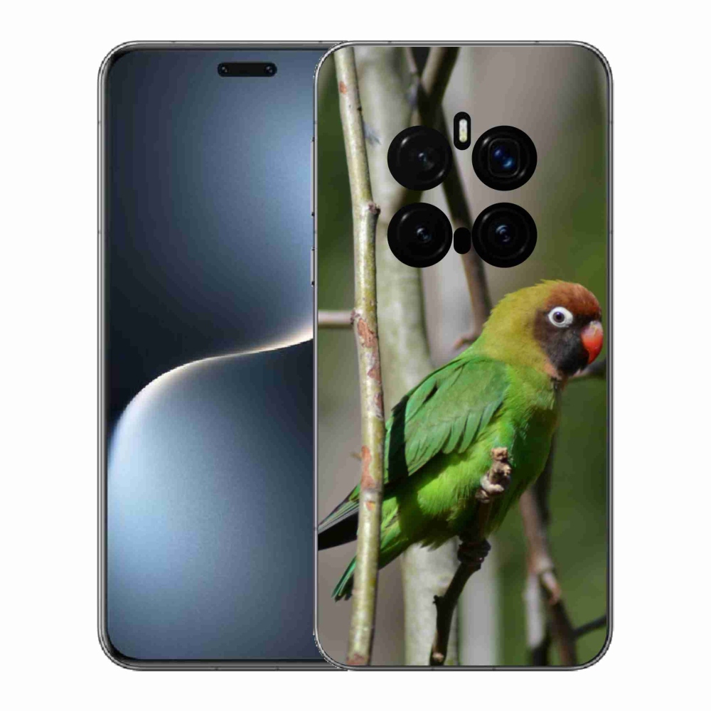 Gélový kryt mmCase na Honor Magic 7 Pro 5G - papagáj agapornis