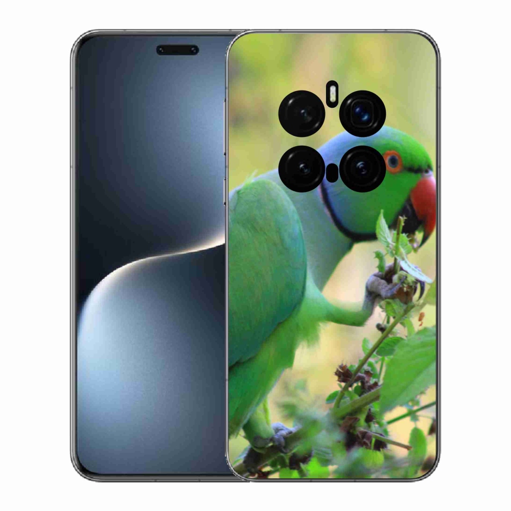 Gélový kryt mmCase na Honor Magic 7 Pro 5G - papagáj Alexandr