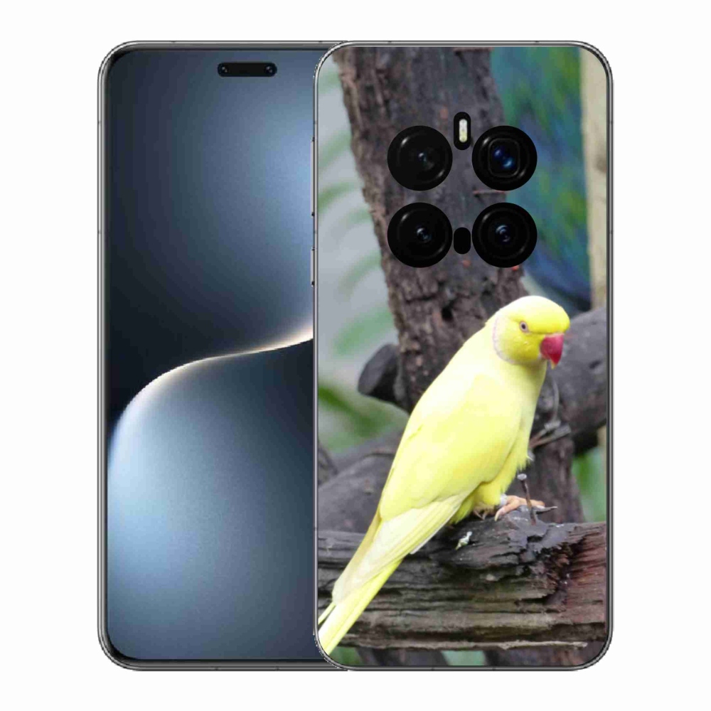 Gélový kryt mmCase na Honor Magic 7 Pro 5G - papagáj alexander žltý