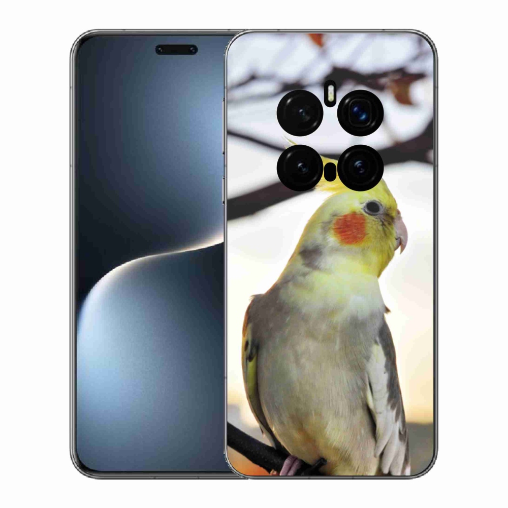 Gélový kryt mmCase na Honor Magic 7 Pro 5G - papagáj korela