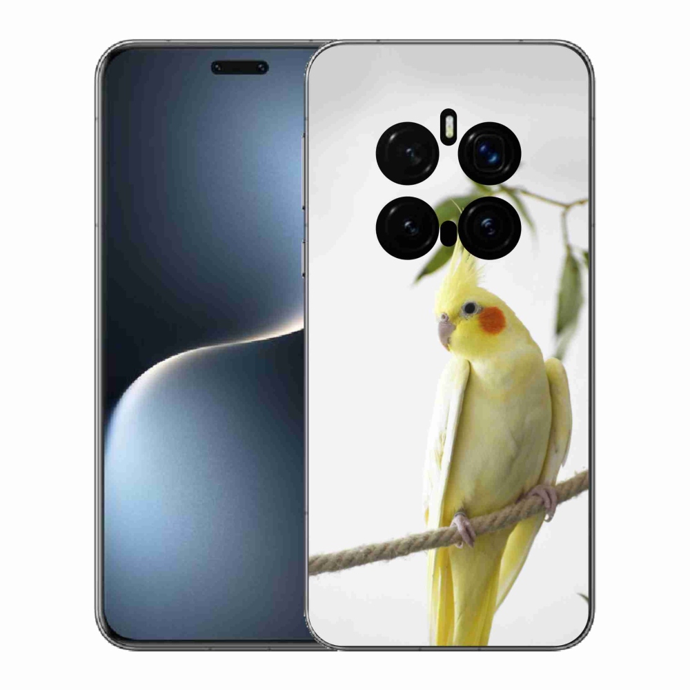 Gélový kryt mmCase na Honor Magic 7 Pro 5G - papagáj korela chocholatá