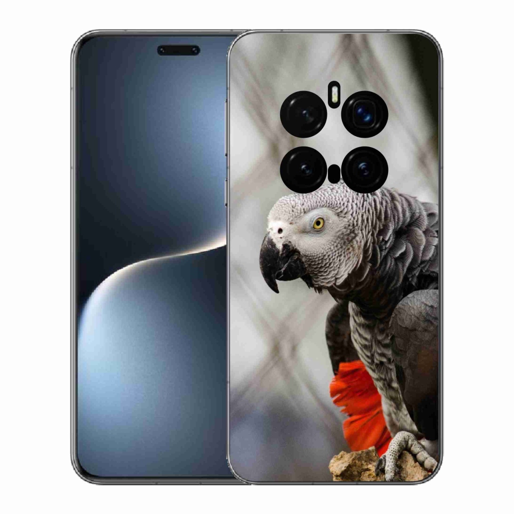 Gélový kryt mmCase na Honor Magic 7 Pro 5G - papagáj žako 3