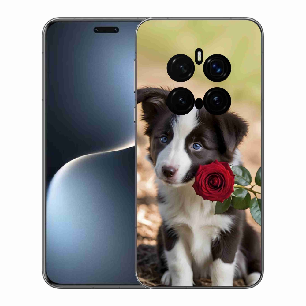 Gélový kryt mmCase na Honor Magic 7 Pro 5G - roztomilá border kólia s ružou