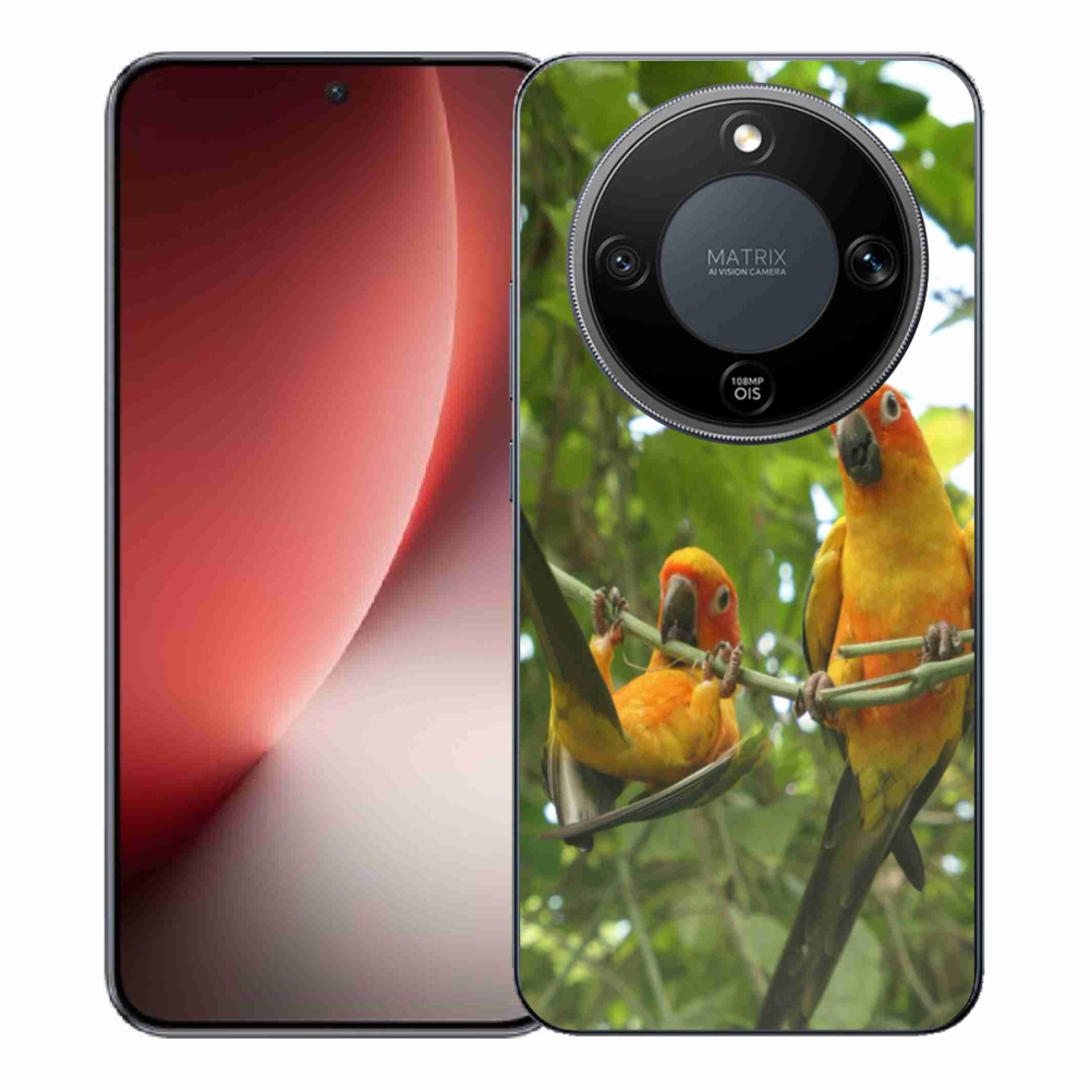 Gélový kryt mmCase na Honor Magic 8 Lite 5G - papagáje aratingy