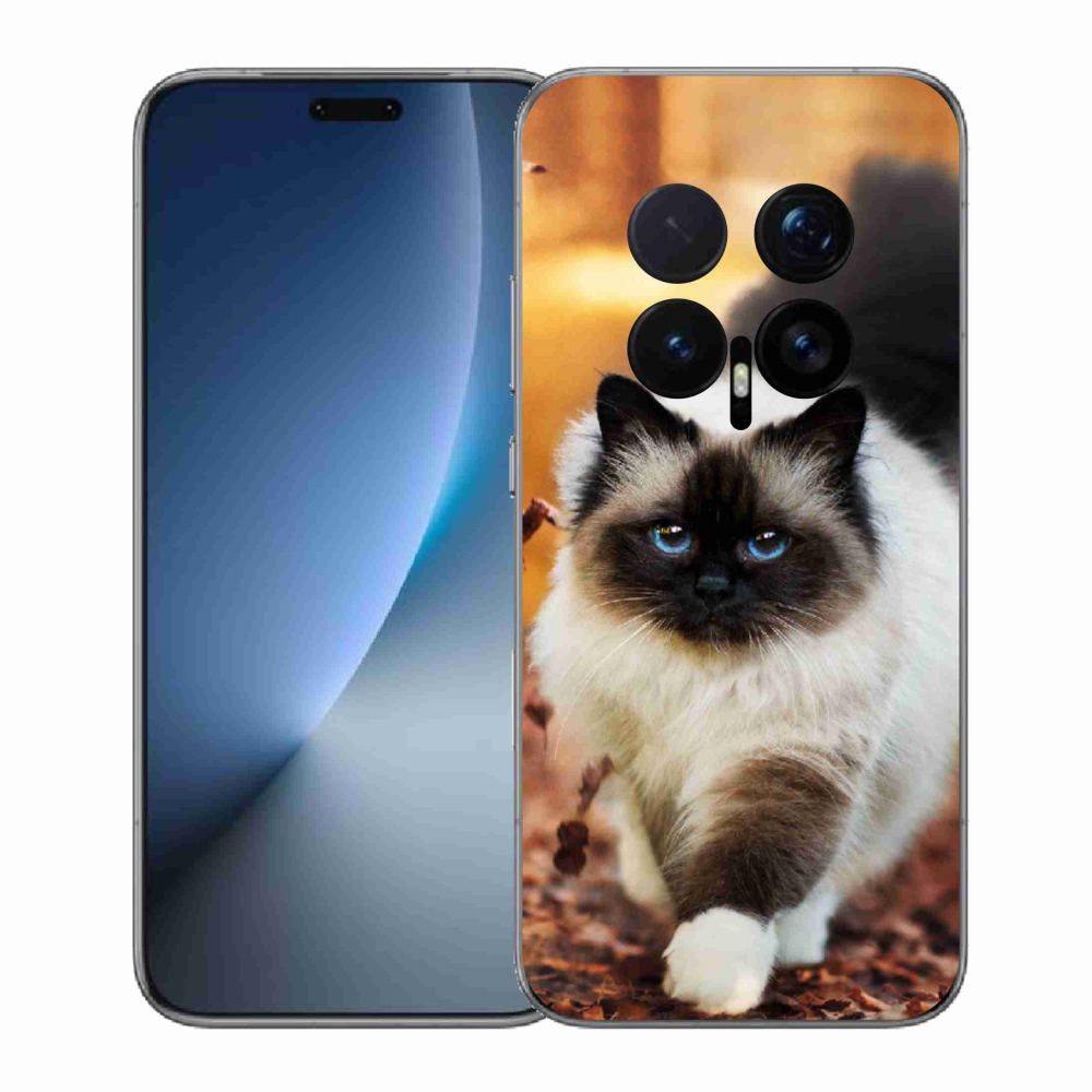 Gélový kryt mmCase na Honor Magic 8 Pro - mačka