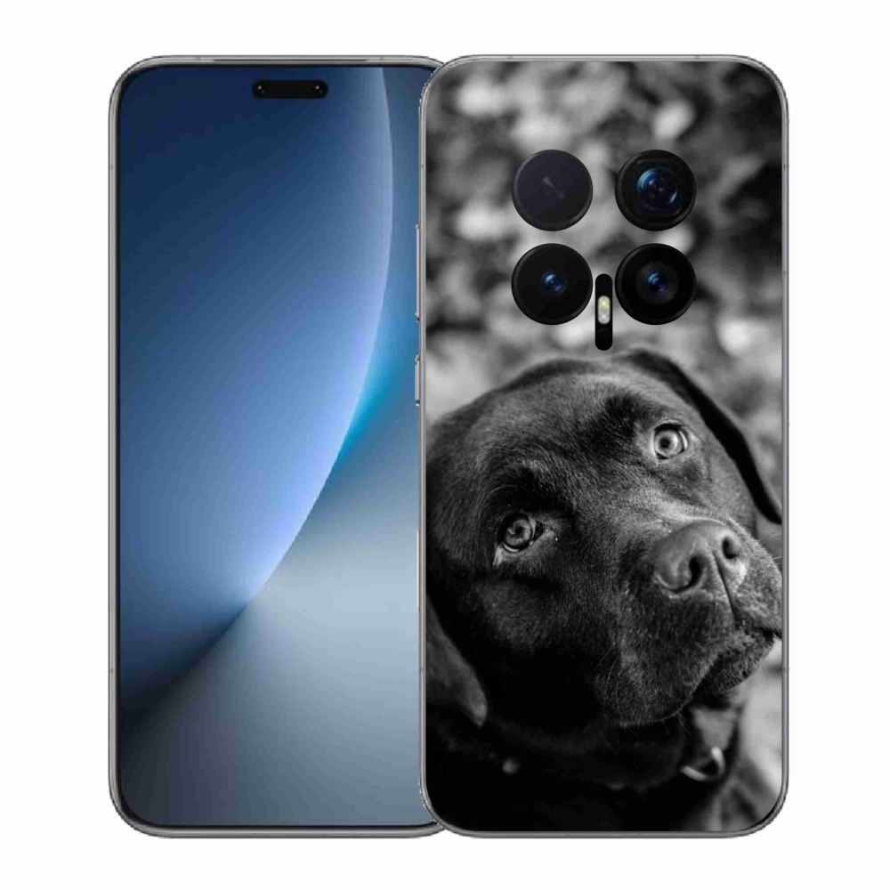 Gélový kryt mmCase na Honor Magic 8 Pro - labrador