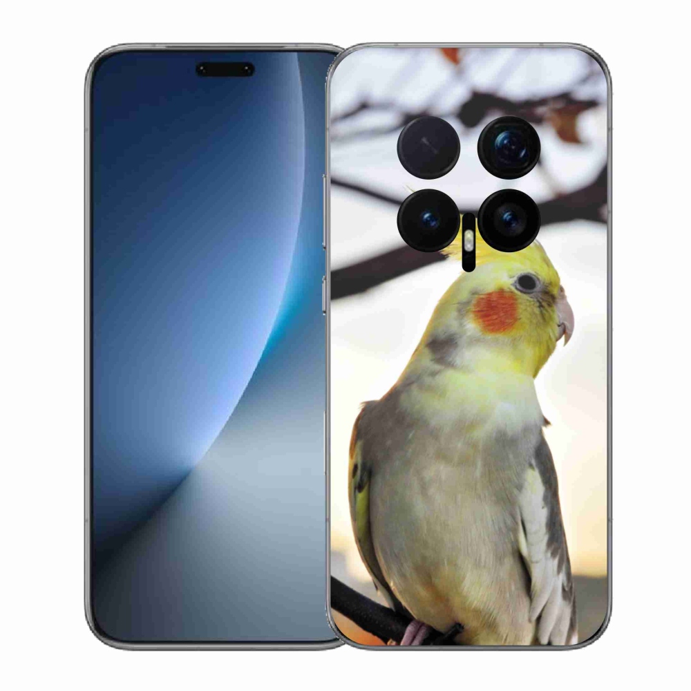 Gélový kryt mmCase na Honor Magic 8 Pro - papagáj korela