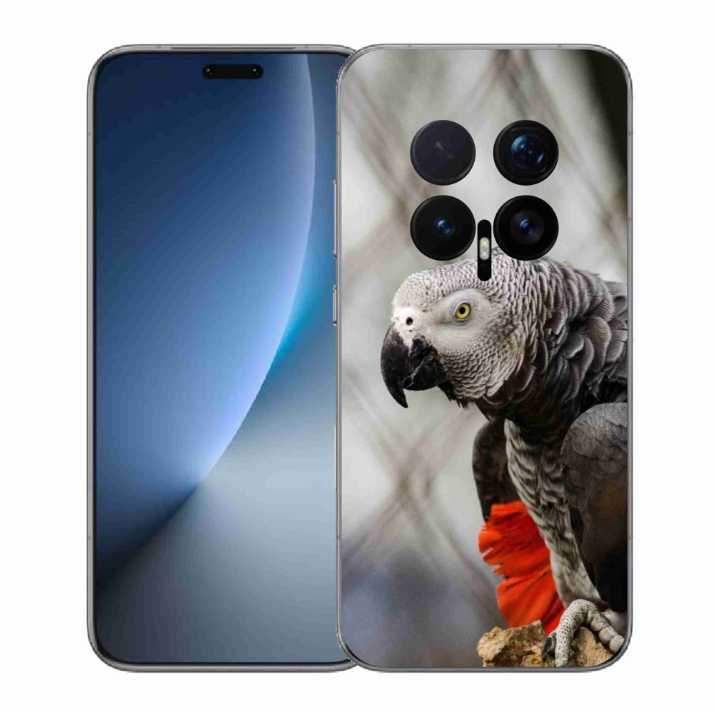 Gélový kryt mmCase na Honor Magic 8 Pro - papagáj žako 3