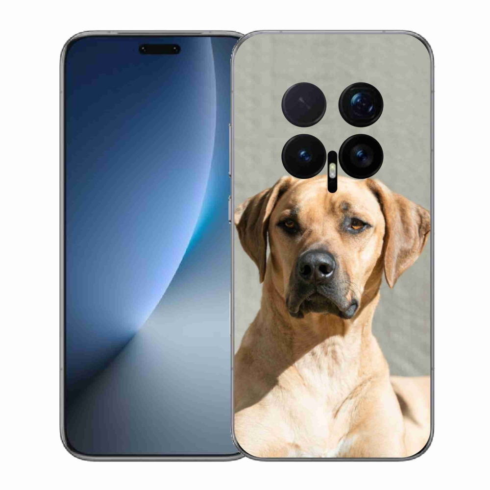 Gélový kryt mmCase na Honor Magic 8 Pro - ridgeback