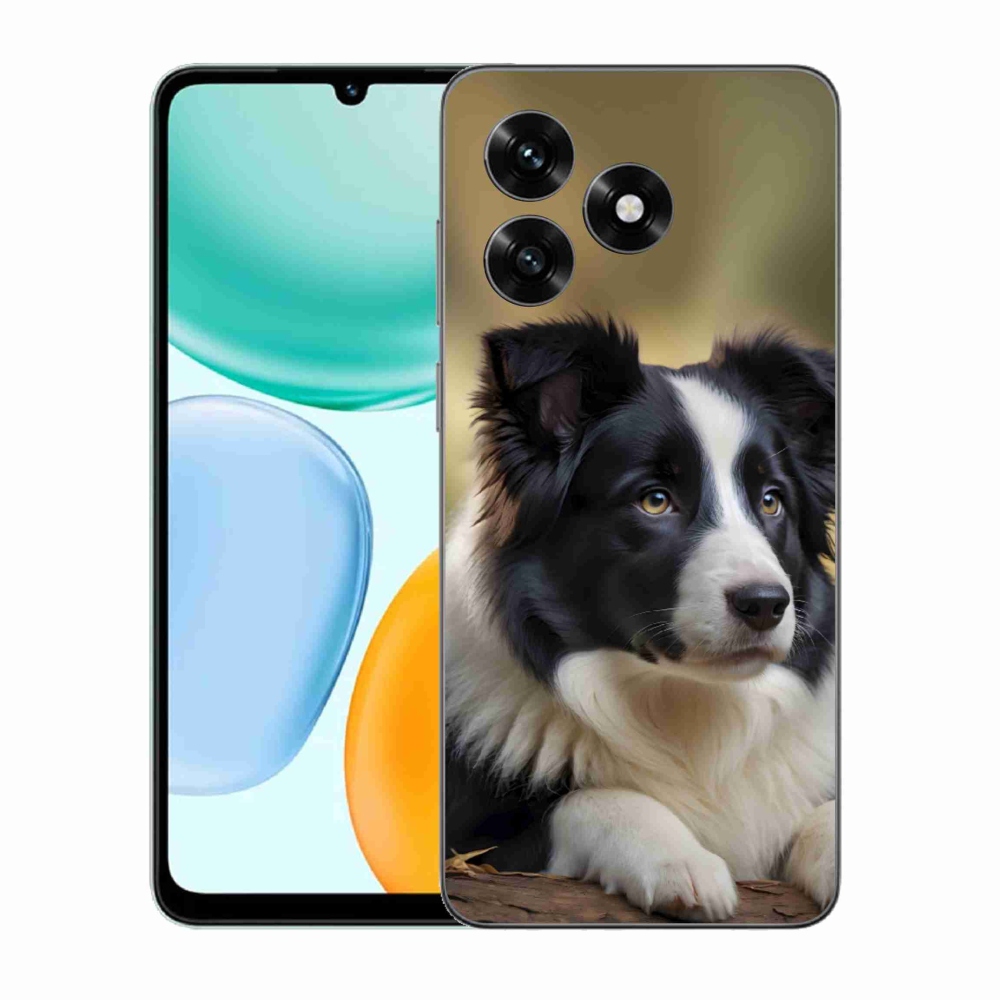Gélový kryt mmCase na Honor X5c Plus - border kólia 2