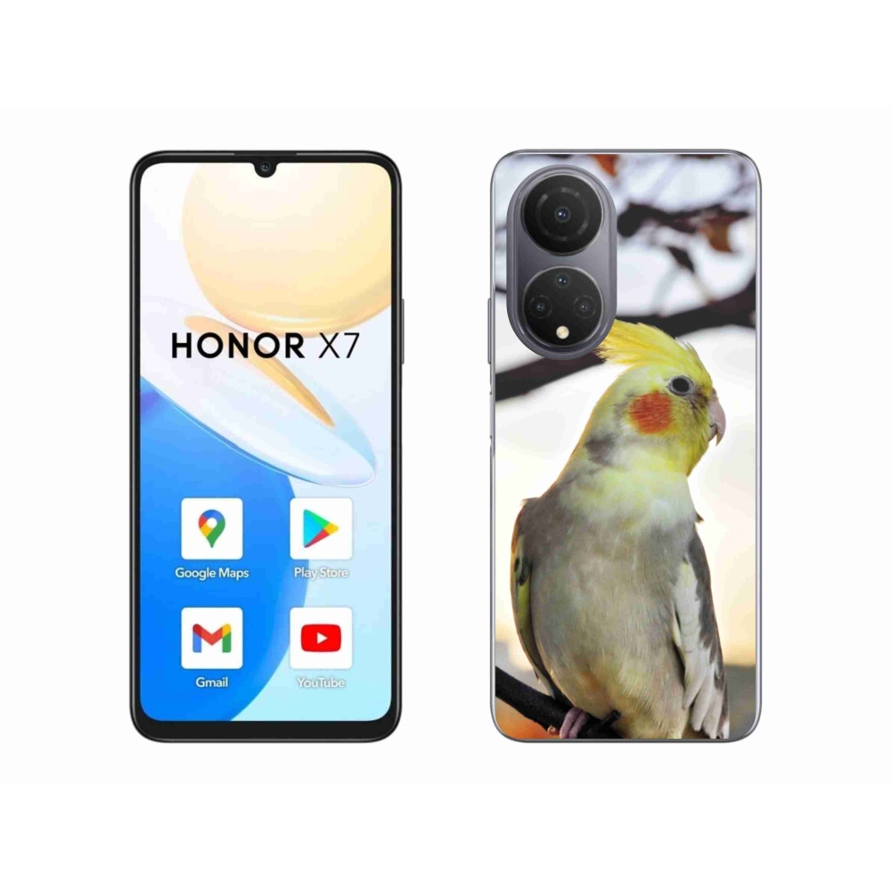 Gélový kryt mmCase na Honor X7 - papagáj korela