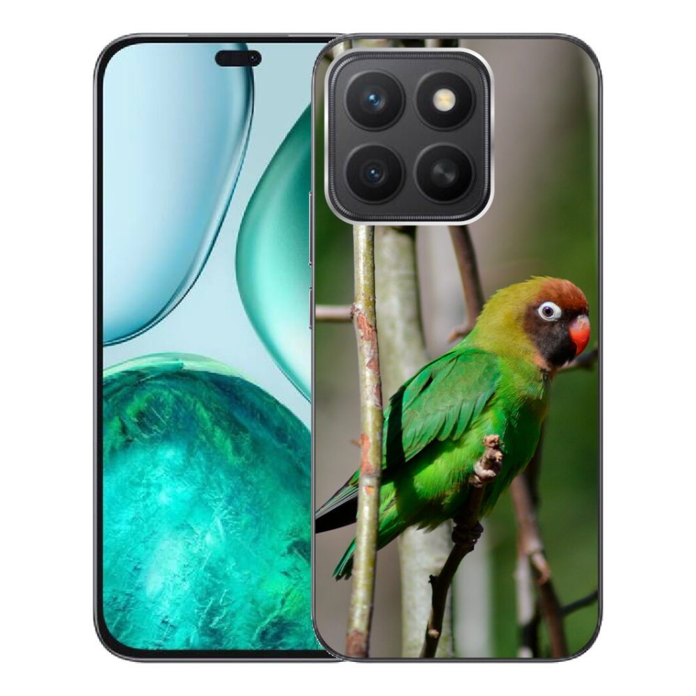 Gélový kryt mmCase na Honor X8c - papagáj agapornis