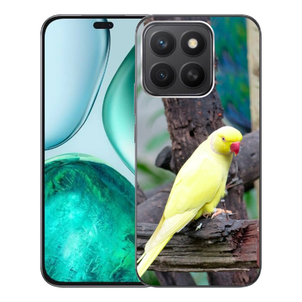 Gélový kryt mmCase na Honor X8c - papagáj alexander žltý