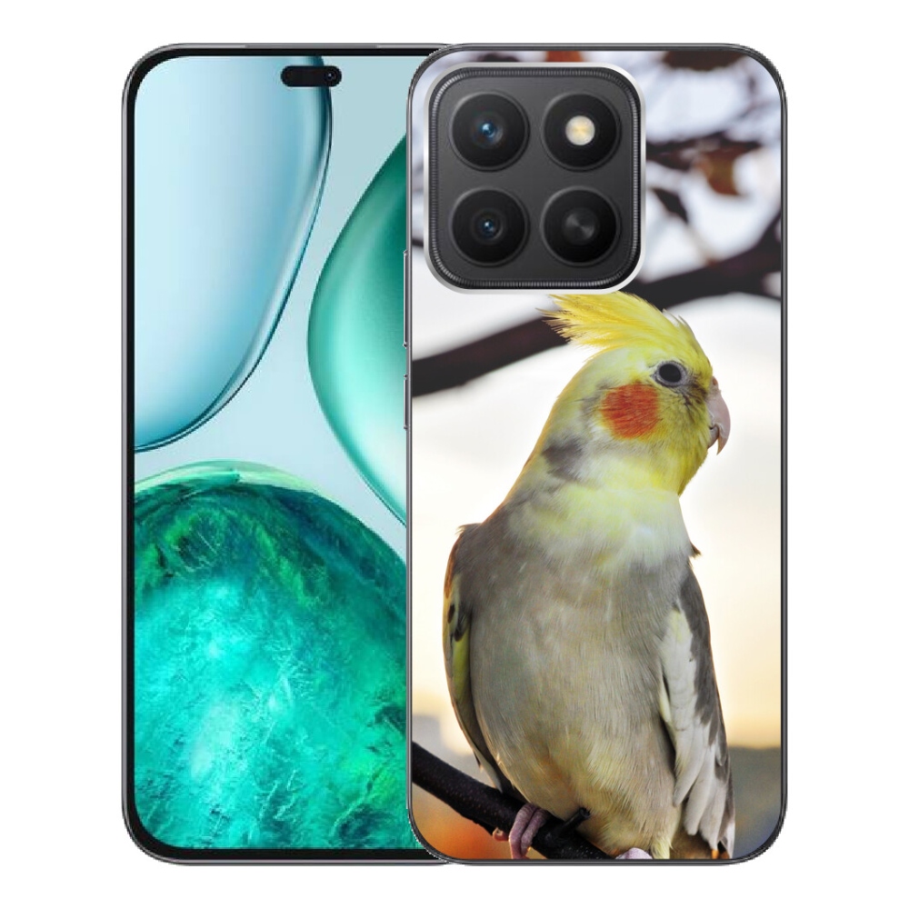 Gélový kryt mmCase na Honor X8c - papagáj korela
